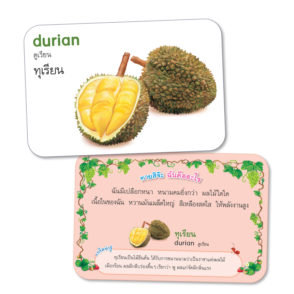 Book World Flash Card สื่อการเรียนรู้ บัตรภาพผลไม้ 2 ภาษา (ไทย-อังกฤษ) พร้อมปริศนาคำทายให้เด็กเล่นทายชื่อผลไม้ NEW