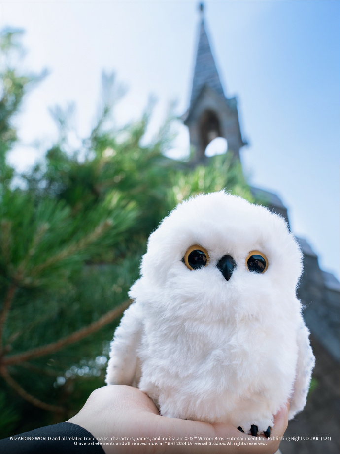 [Pre-Order] Harry Potter Snow owl Universal Studios Beijing นกฮูกแฮร์รี่ โต้ตอบได้