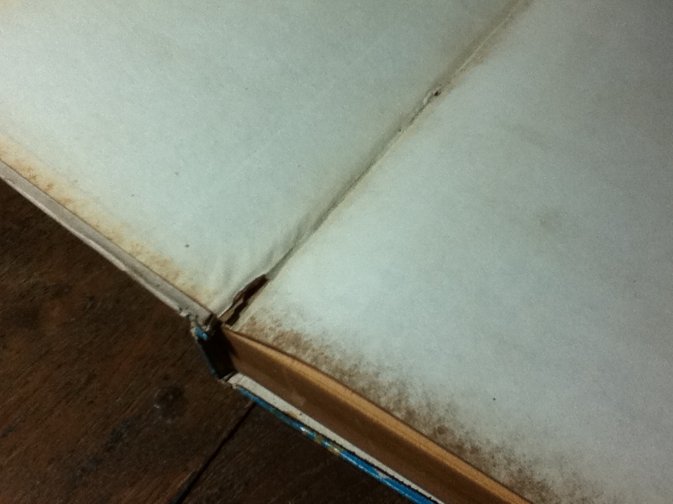 อภินิหารของพระเครื่องรางของขลัง และไสยศาสตร์/ วิเทศกรณีย์