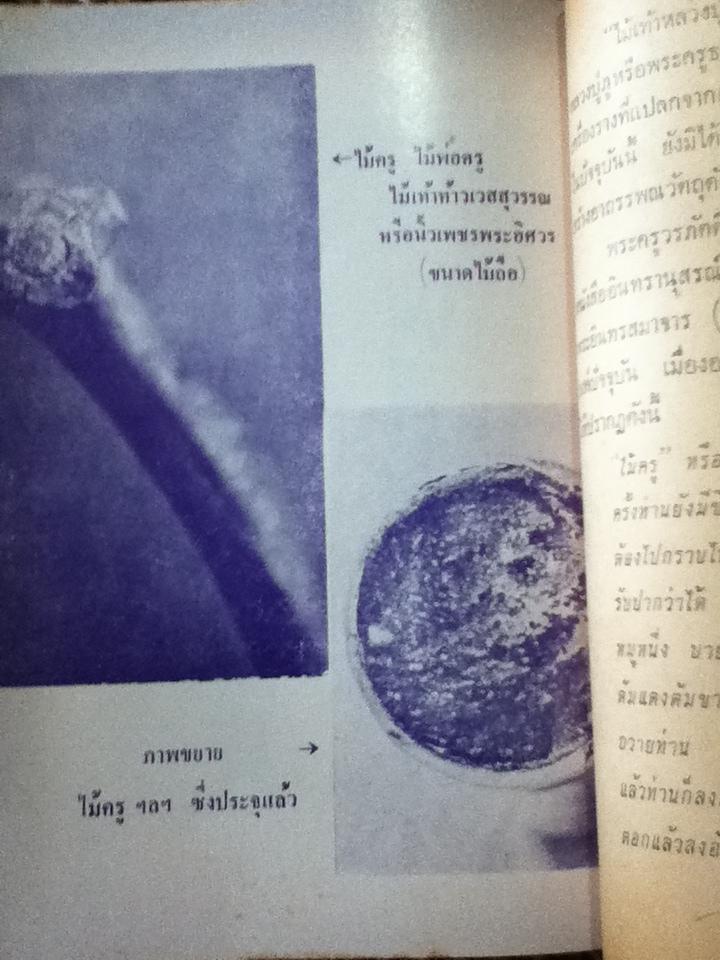 ชีวประวัติฯ หลวงปู่ภู วัดอินทรวิหาร และ เหรียญพุทธคุณ ธรรมคุณ สังหคุณ เล่ม1/ เฉลียว จันทรทรัพย์