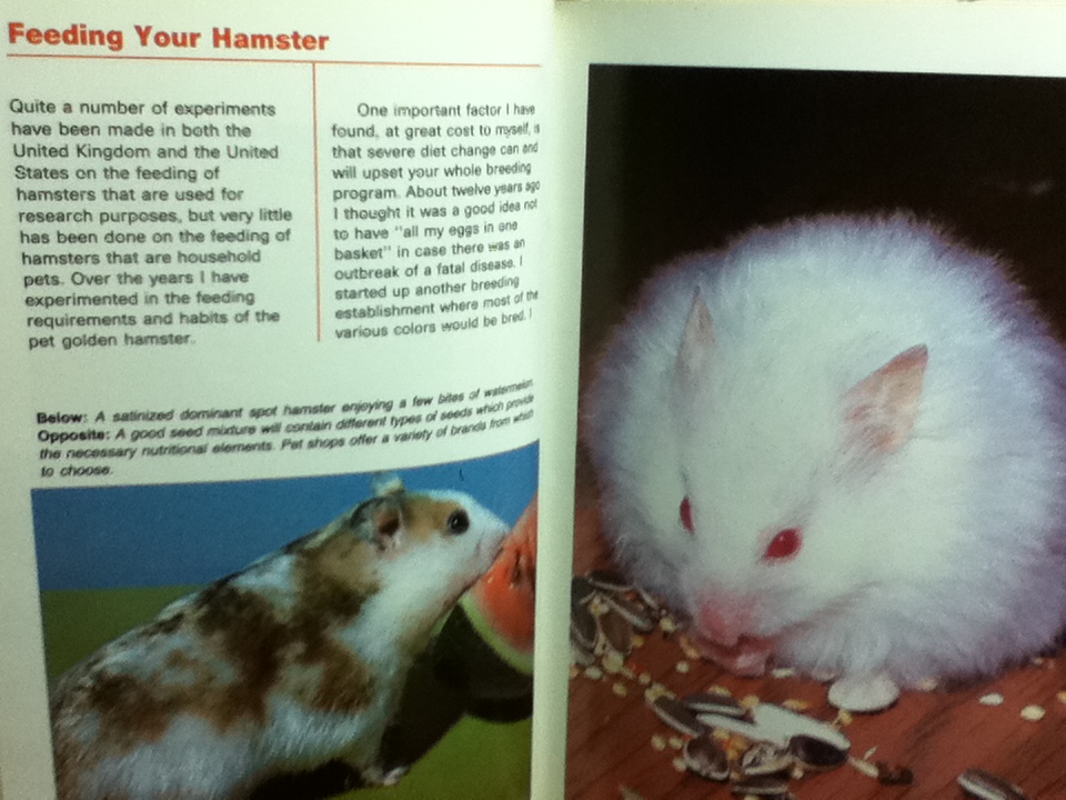 HAMSTERS/ Percy Parslow