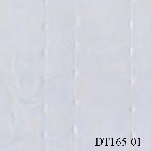 DT165-01