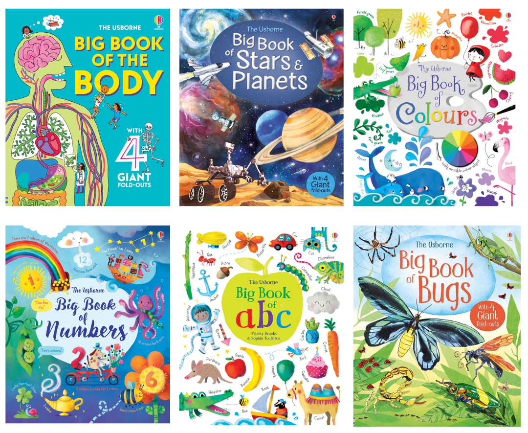 USBORNE BIG BOOK SERIES (with 4 Giant Fold-Outs)