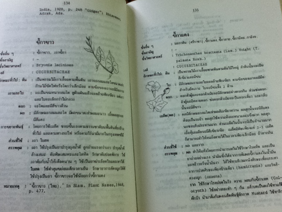 พจนานุกรมสมุนไพรไทย/ ดร.วิทย์ เที่ยงบูรณธรรม