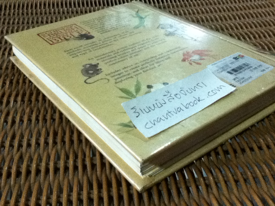 THE CHINESE BRUSH PAINTING BIBLE/ JANE DWIGHT