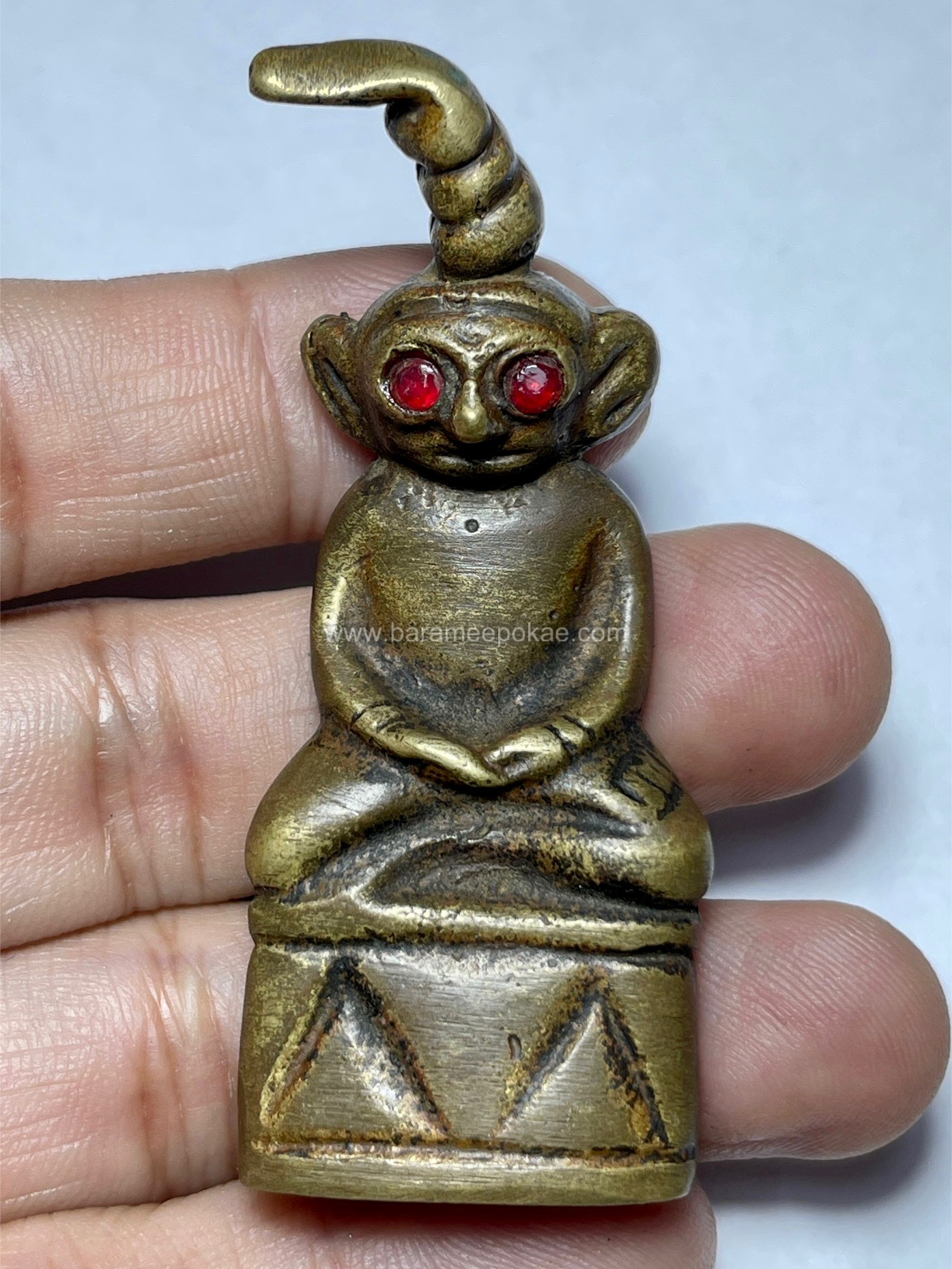 งั่งตาแดง (สวมกำไลคู่) Red-Eyed Ngang. (wearing a pair of bracelets) SKU-03647