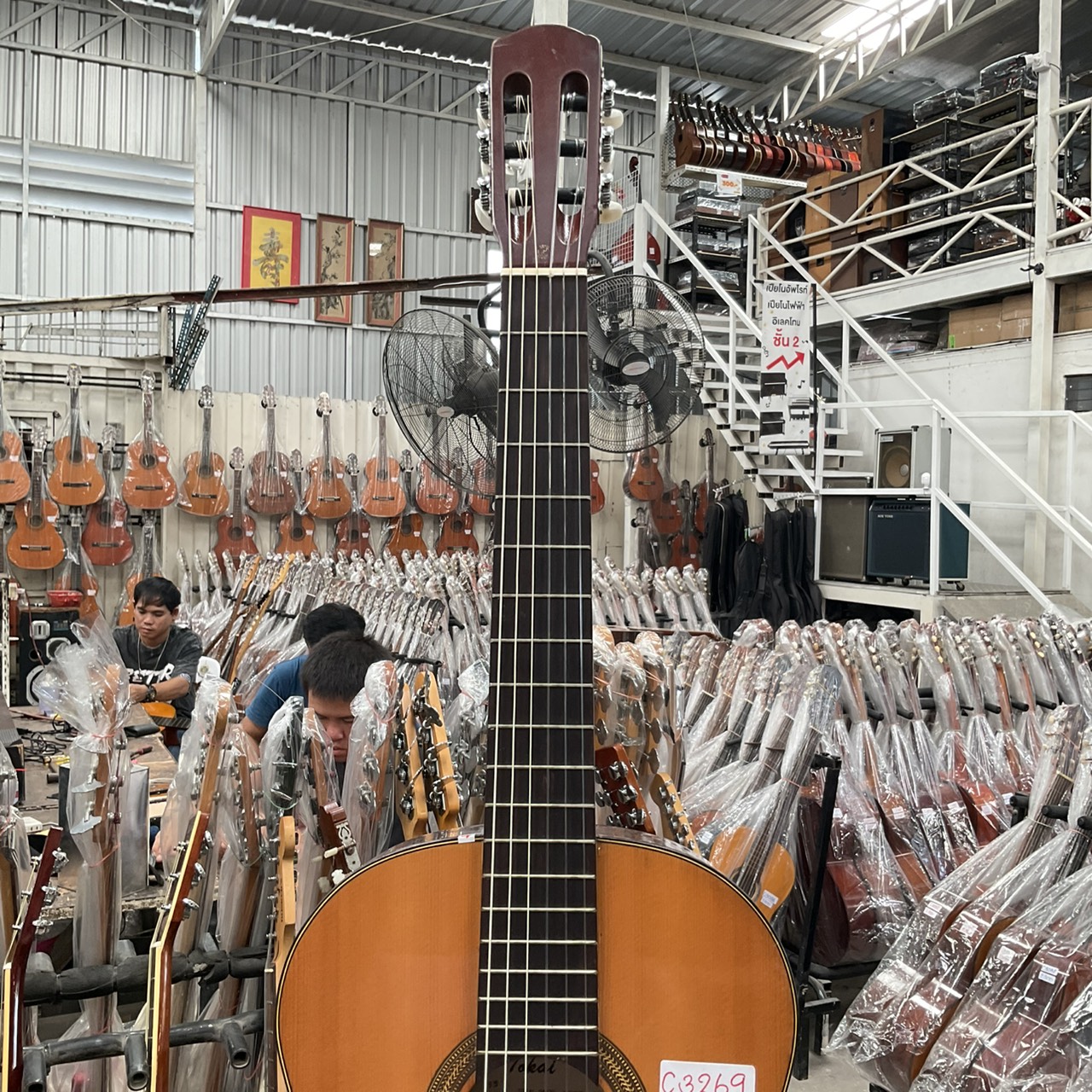 กีต้าร์คลาสสิค Tokai : No.85