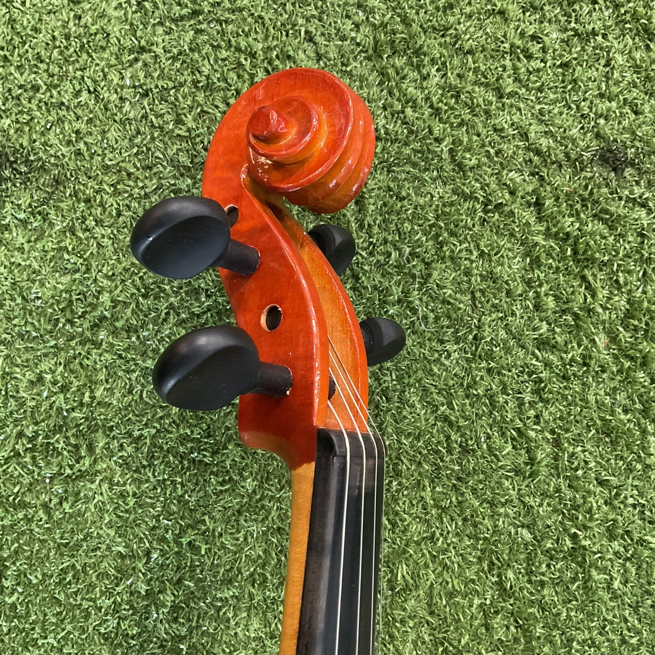 ไวโอลิน Niccolo : NV-50