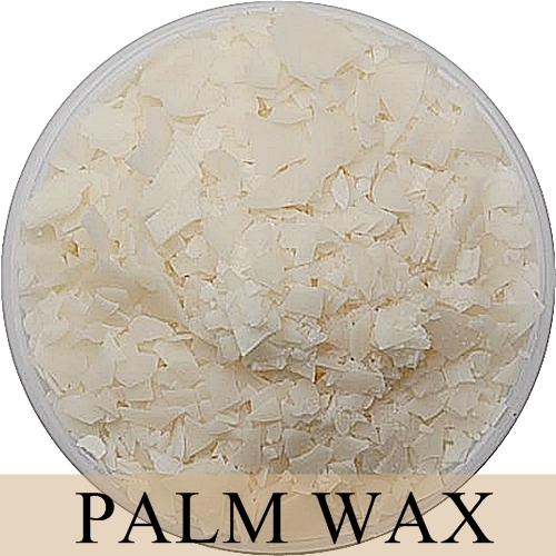 วัตถุดิบ ไขปาล์ม PALM WAX