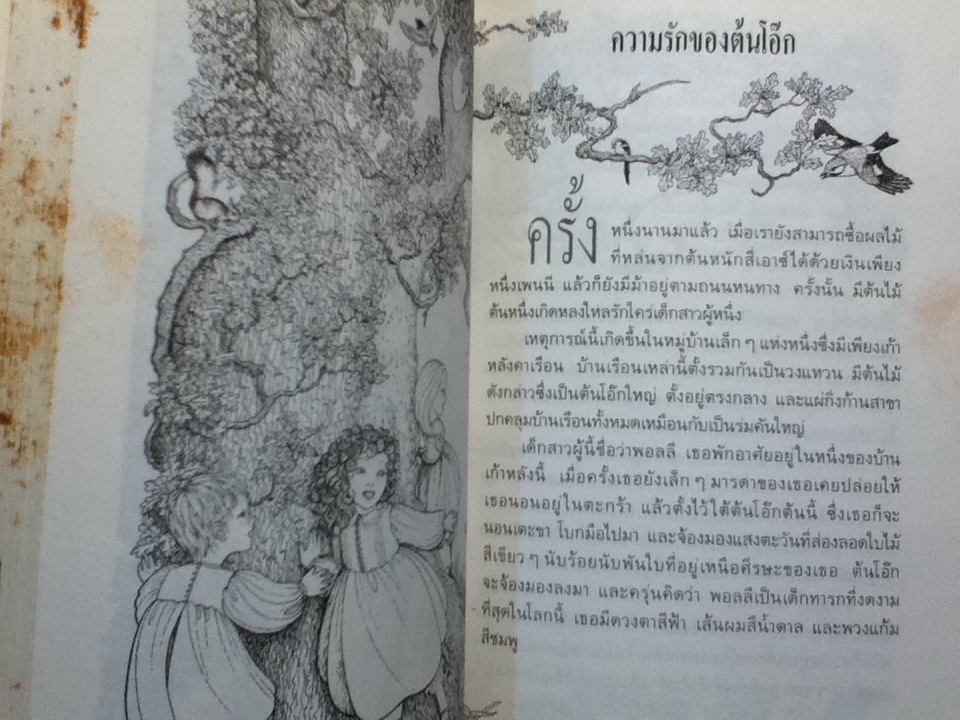 ความรักของต้นโอ๊ก The Tree that Loved a Girl