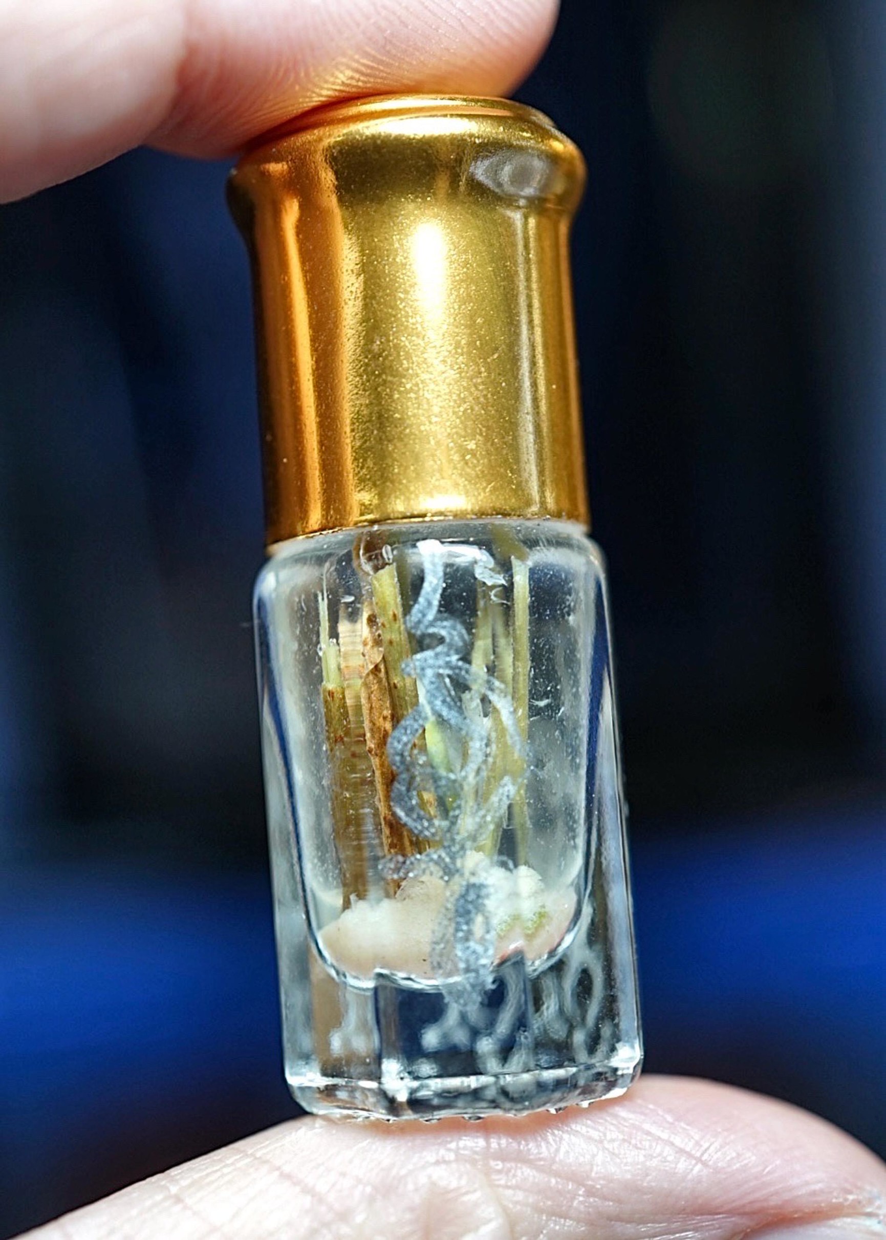 น้ำมันกั่วเผาะอัปสรพลีกาย (รุ่น.2) Mighty Musth Elephant Oil. (2nd batch) SKU-04000