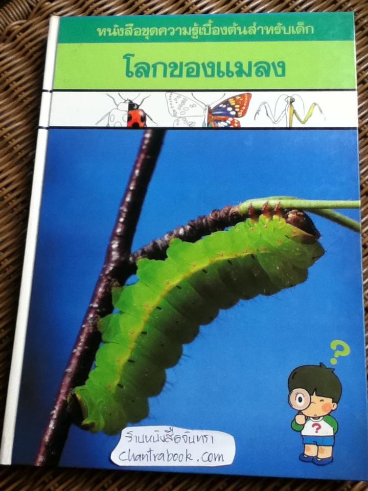 หนังสือชุดความรู้เบื้องต้นสำหรับเด็ก โลกของแมลง