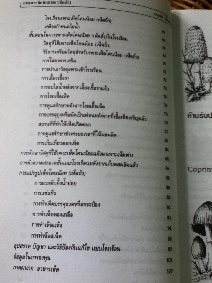 การเพาะเห็ดโคนน้อย(เห็ดถั่ว)/ อานนท์ เอื้อตระกูล