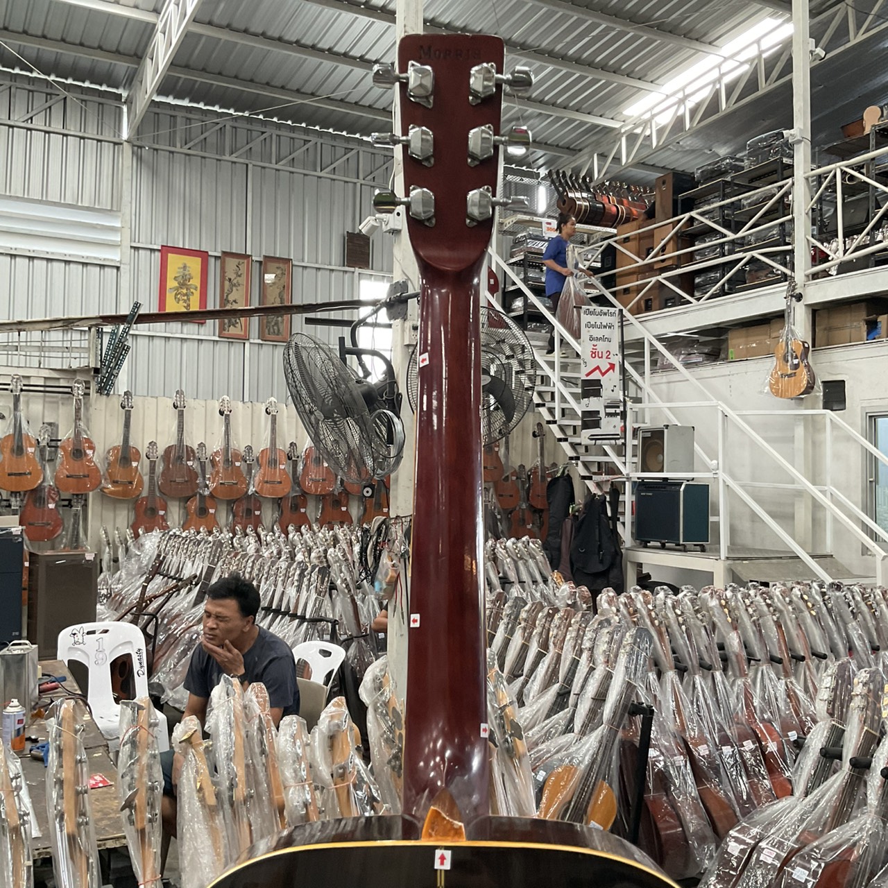 กีต้าร์โปร่ง Morris : W-23