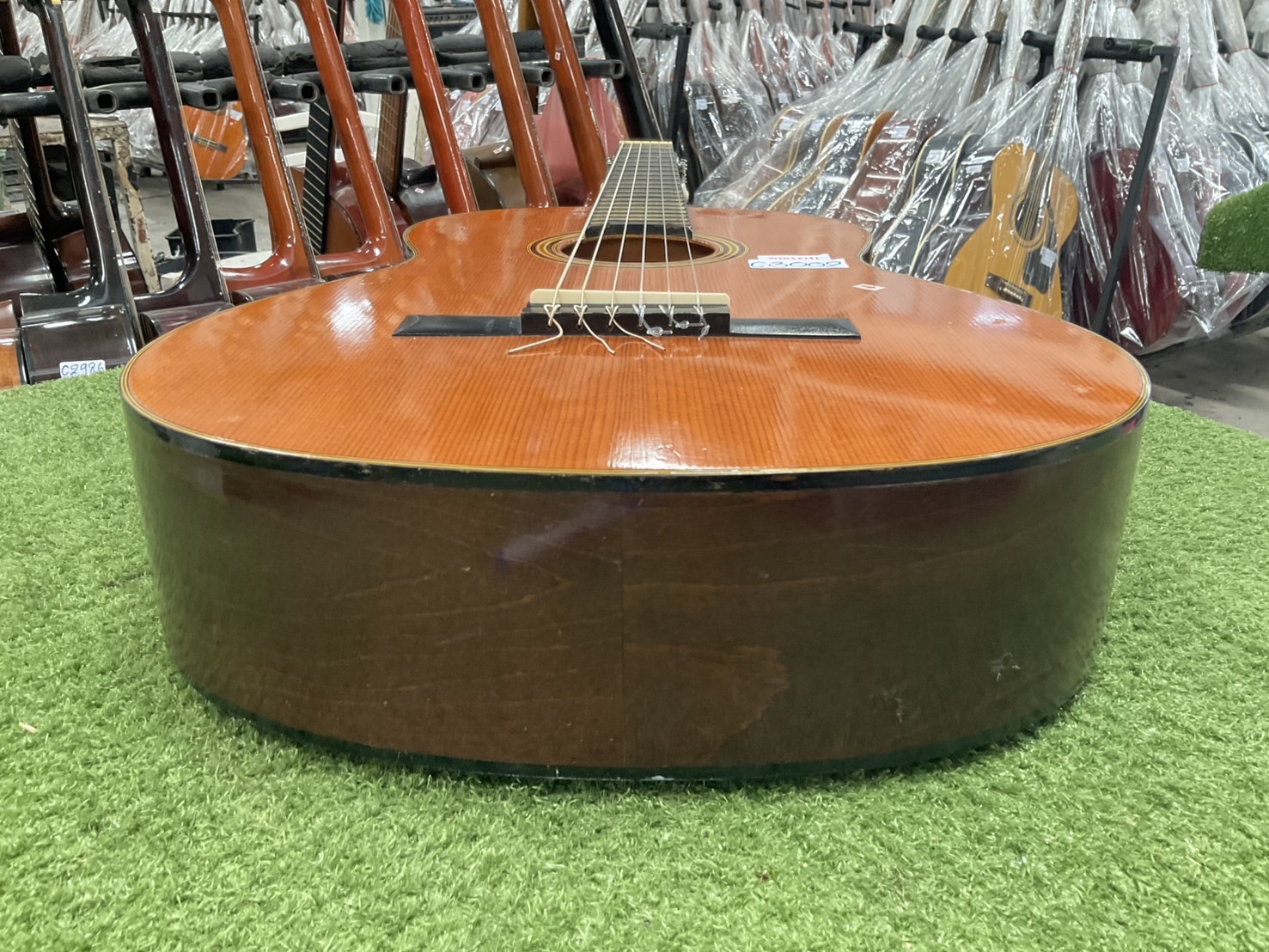 กีต้าร์คลาสสิค YAMAHA : G-50