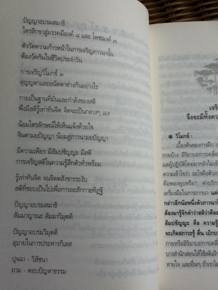 การพัฒนาสติในการภาวนา/ เมธิโนภิกขุ(วิโมกข์)