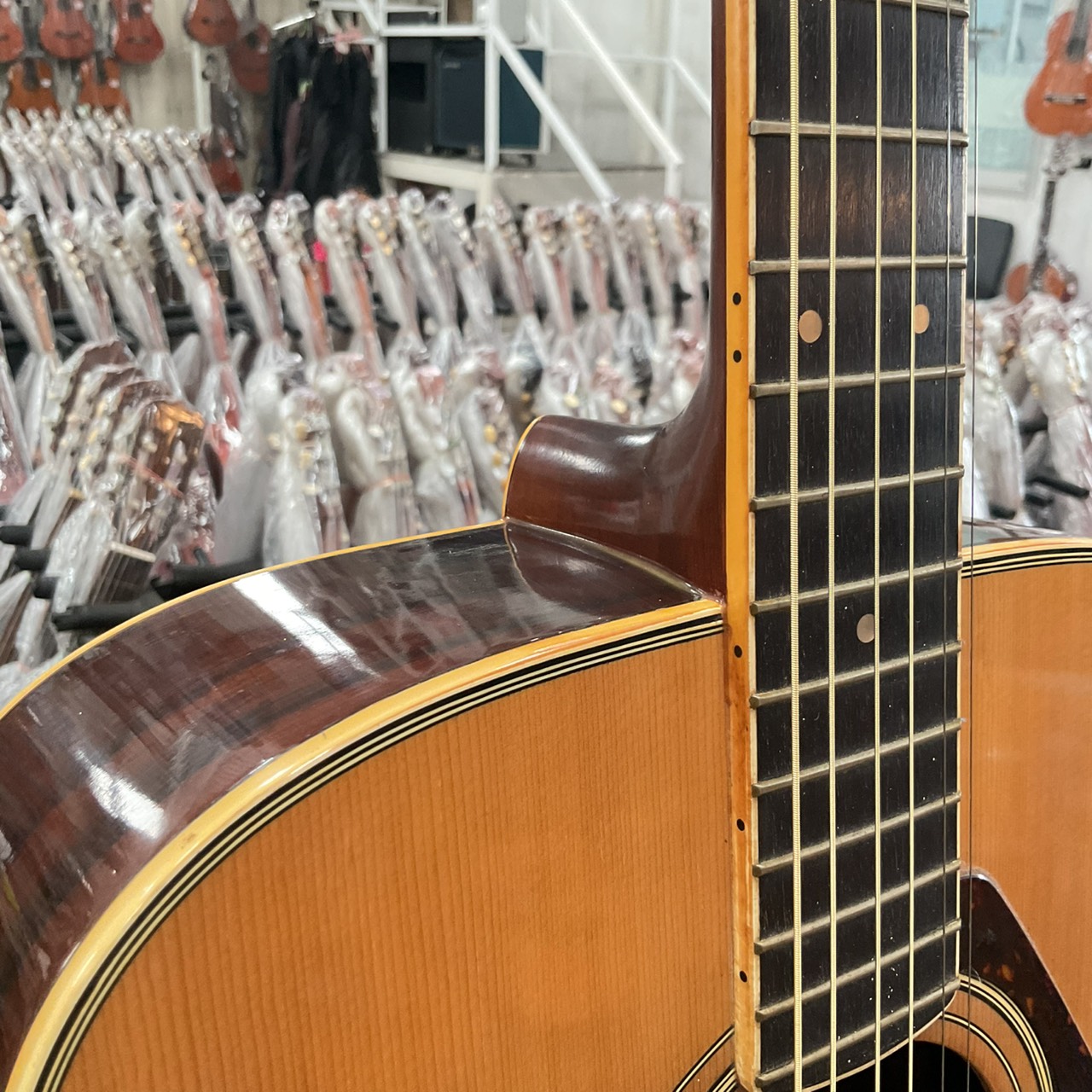 กีต้าร์โปร่ง YAMAHA : FG-251