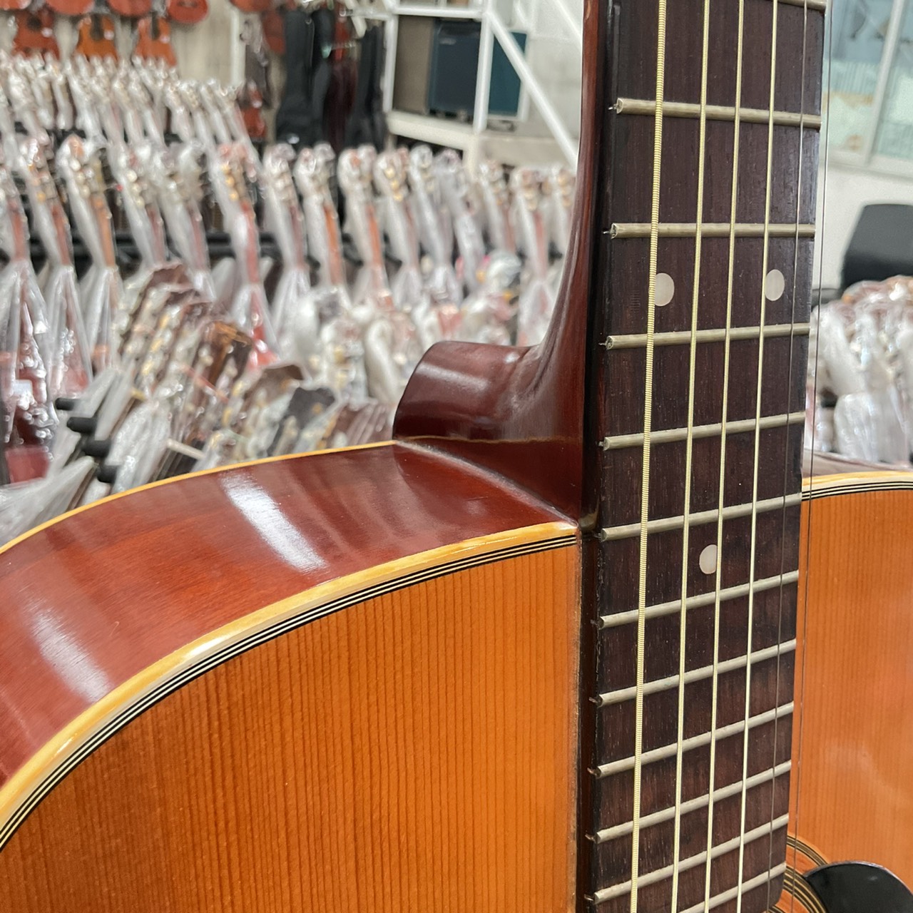 กีต้าร์โปร่ง Phenix : W130