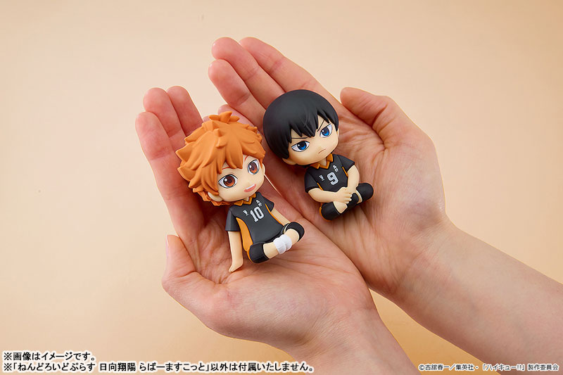 Nendoroid Plus Haikyuu!! Shoyo Hinata Rubber Mascot(Pre-order)
