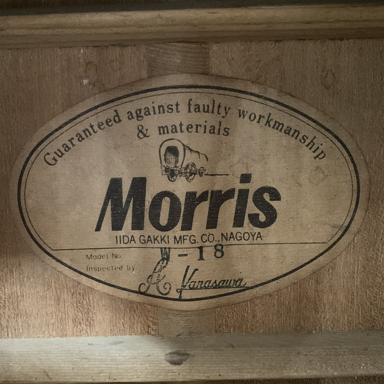 กีต้าร์โปร่ง Morris : W-18