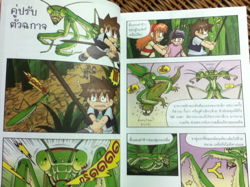 เอาชีวิตรอดในอาณาจักรแมลง เล่ม 1-3/ ฮอง แจซอย