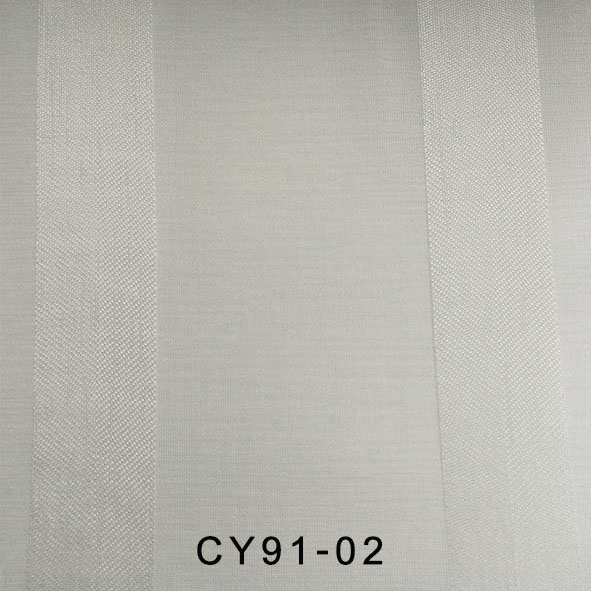 CY91-02
