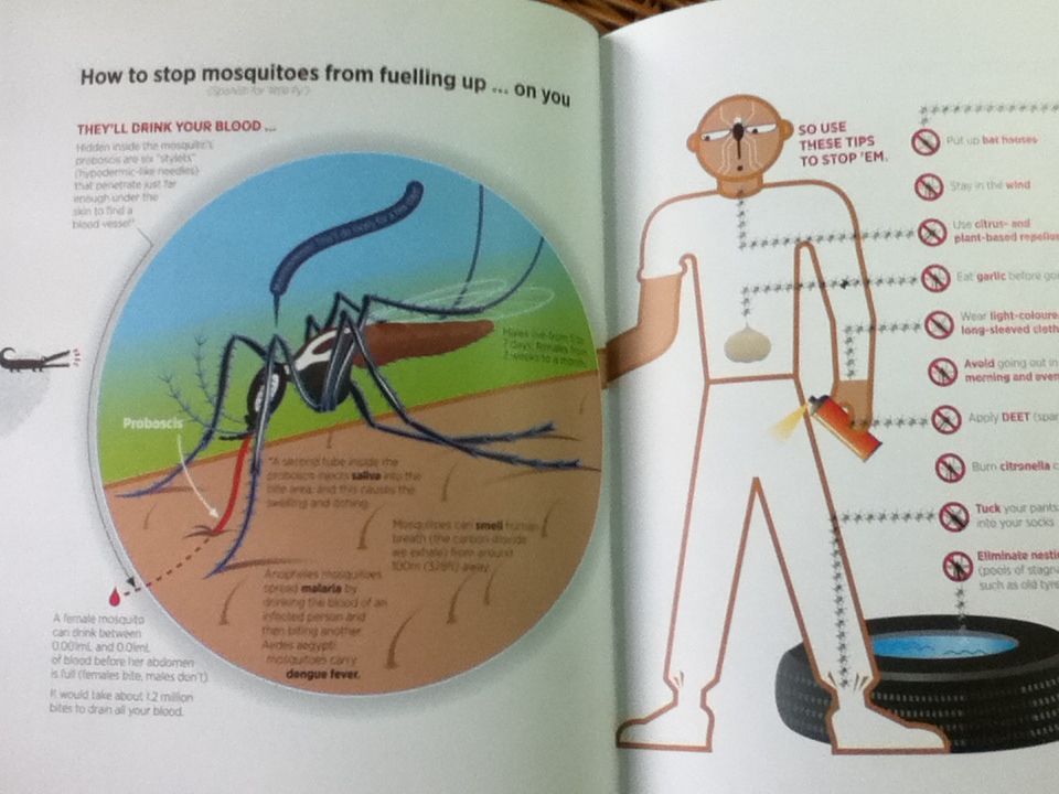 BOOK of EVERYTHING A Visual Guide to Travel and the World/ Nigel Holmes