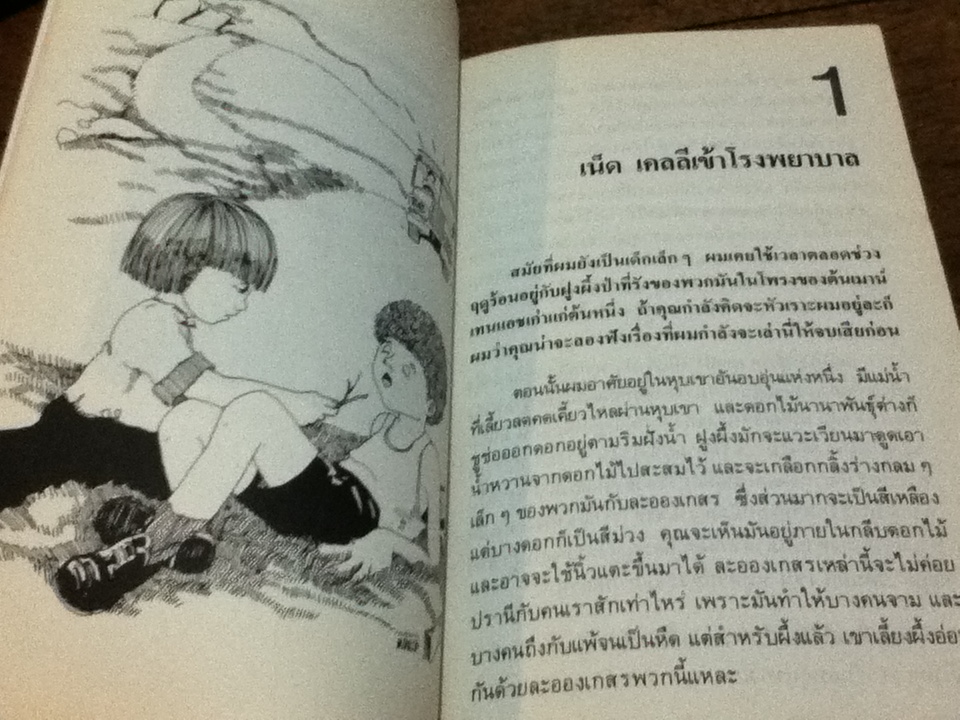 ฤดูร้อนในโลกหกเหลี่ยม/ โธมัส เคนีลลี