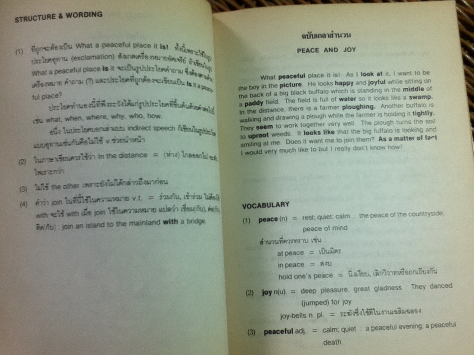คิดอย่างไทย เขียนอย่างฝรั่ง/ ปริญญ์ ปราชญานุพร