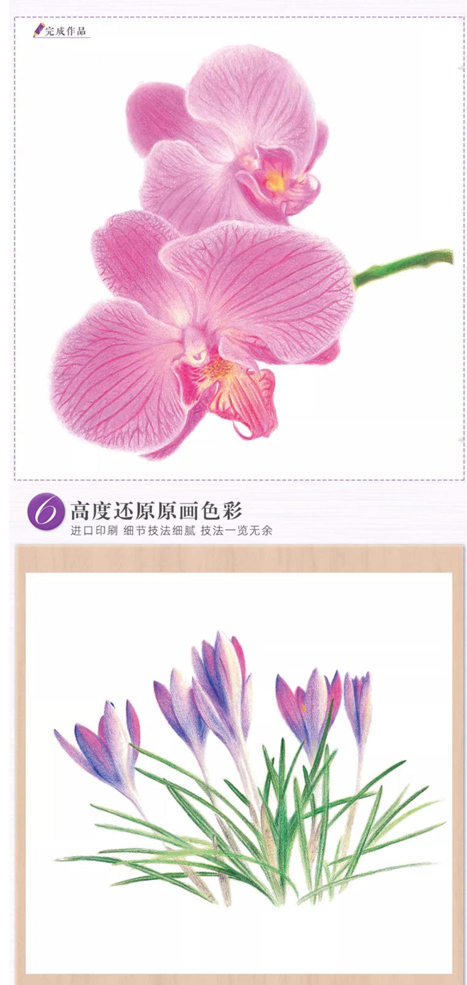 (Pre-order) หนังสือสอนระบายสีไม้ภาพดอกไม้