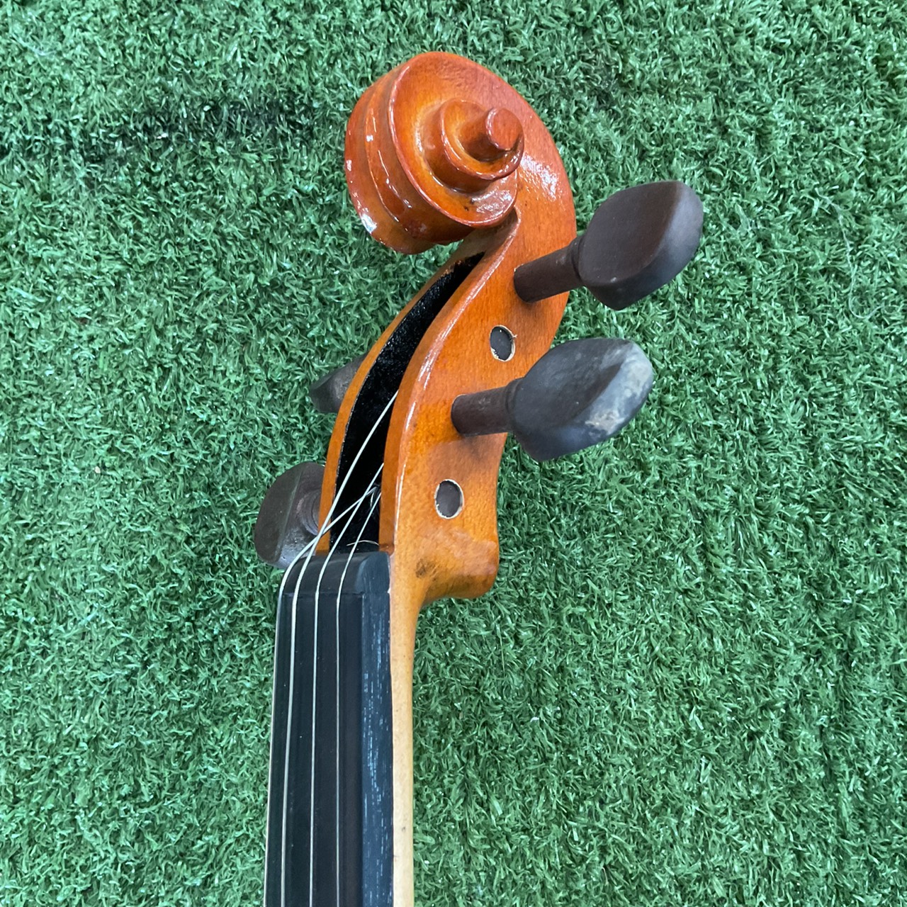 ไวโอลิน Stentor : RO69423