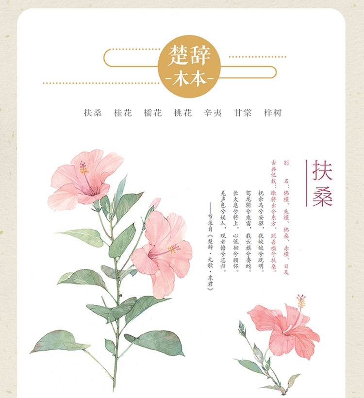 (Pre-order) หนังสือสอนเทคนิคระบายสีน้ำของ MUSHIJUN