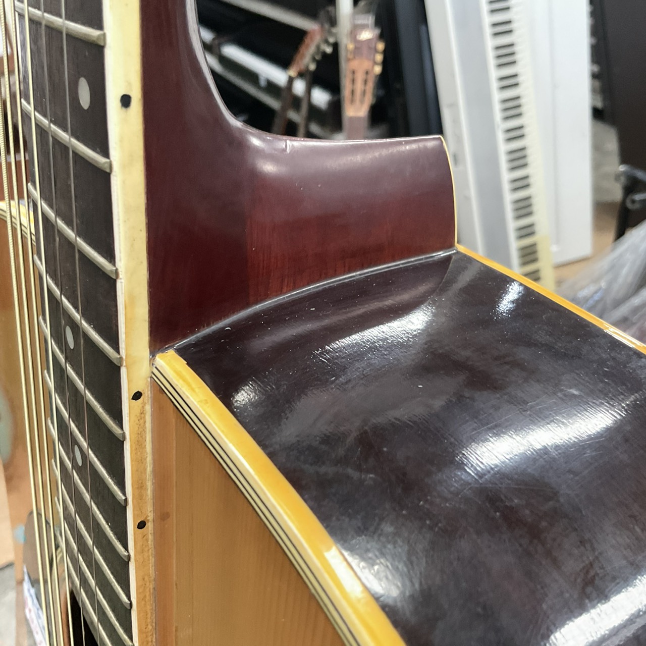 กีต้าร์โปร่ง Morris : W-20 (สำหรับมือซ้าย)