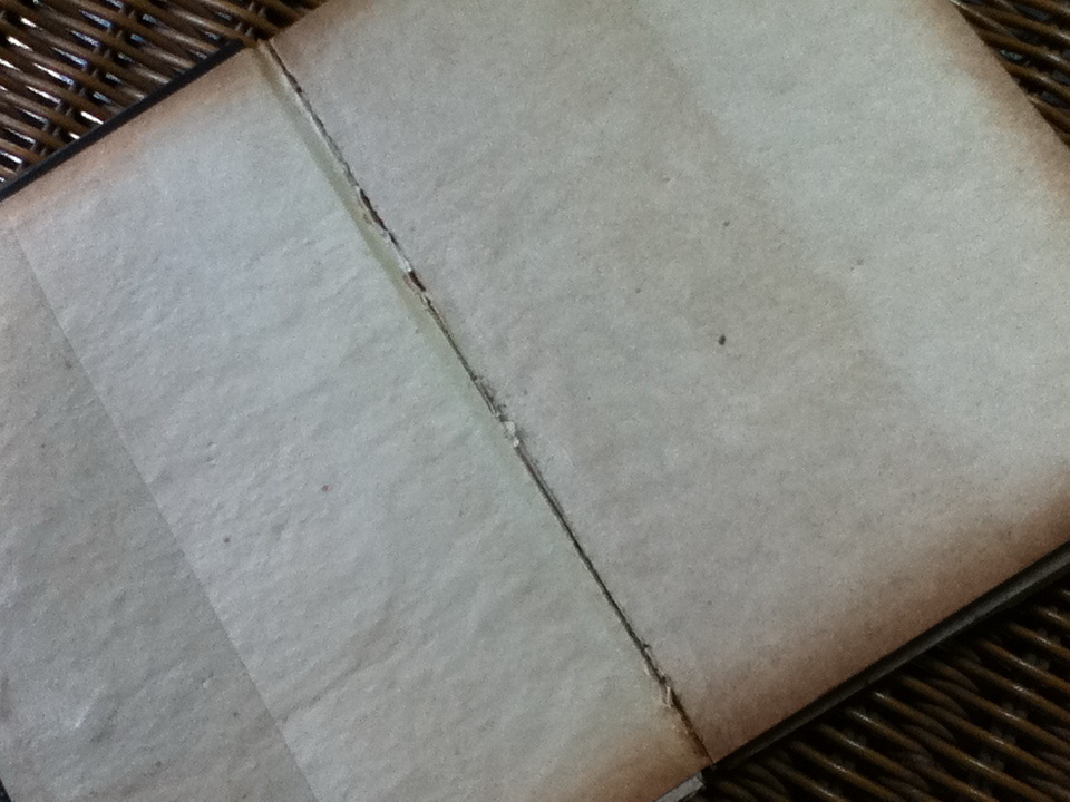 สาวิตรี หนามยอกเอาหนามบ่งหมิ่นประมาทศาล พระราชนิพนธ์ของพระบาทสมเด็จพระมงกุฏเกล้าเจ้าอยู่หัว