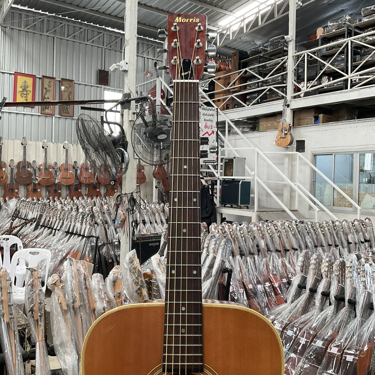 กีต้าร์โปร่ง Morris : W-18