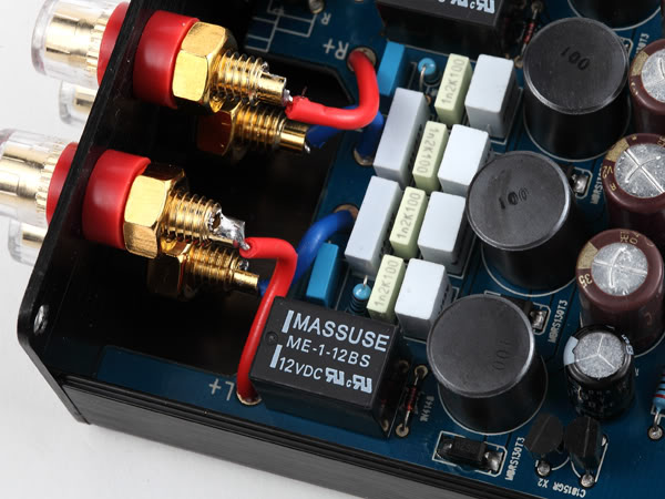 MUSE M15 EX2 TA2024 T-Amp Mini Stereo Amplifier 15WX (Gold)