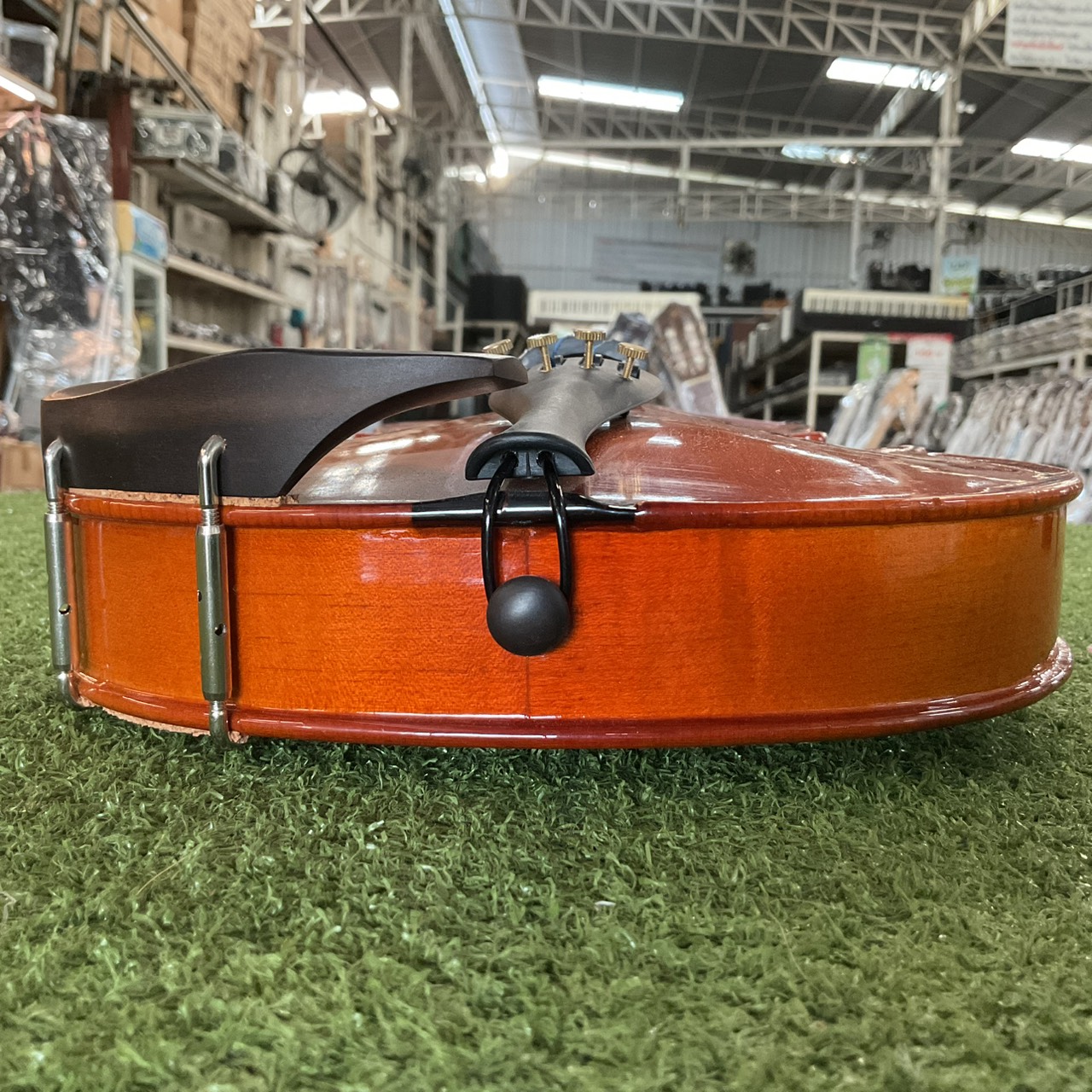 ไวโอลิน Stentor : RO69423