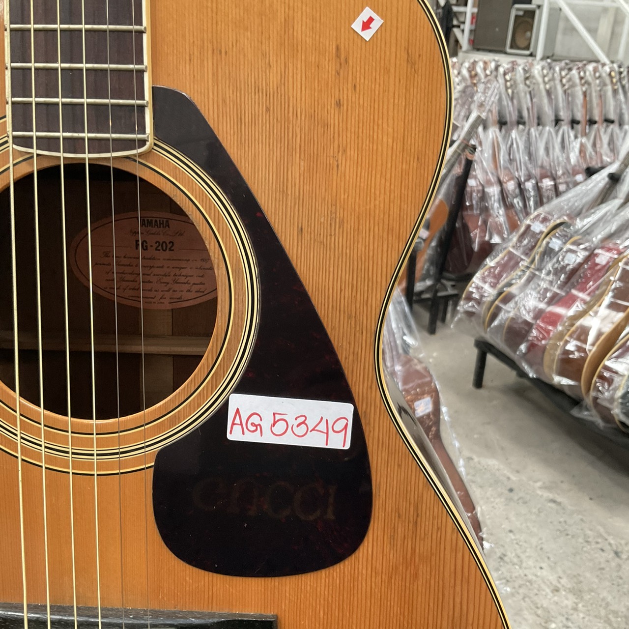 กีต้าร์โปร่ง YAMAHA : FG-202