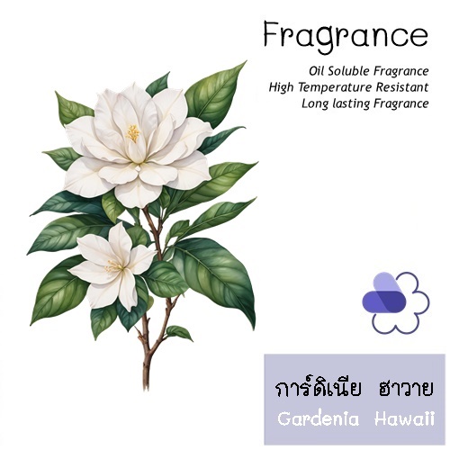 Gardenia Hawaii หัวน้ำมันหอม การ์ดิเนีย ฮาวาย White floral ,Cream , Sweet สัมผัสกลิ่นหอมหวาน สดชื่นและเย้ายวน สมบรูณ์แบบ ละลายในแอกอฮอล์และน้ำมัน ทนอุณหภูมิสูง COA