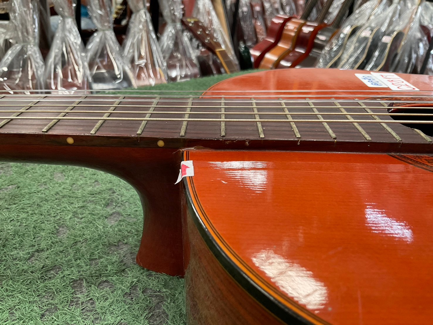 กีต้าร์คลาสสิค SUZUKI : C-13