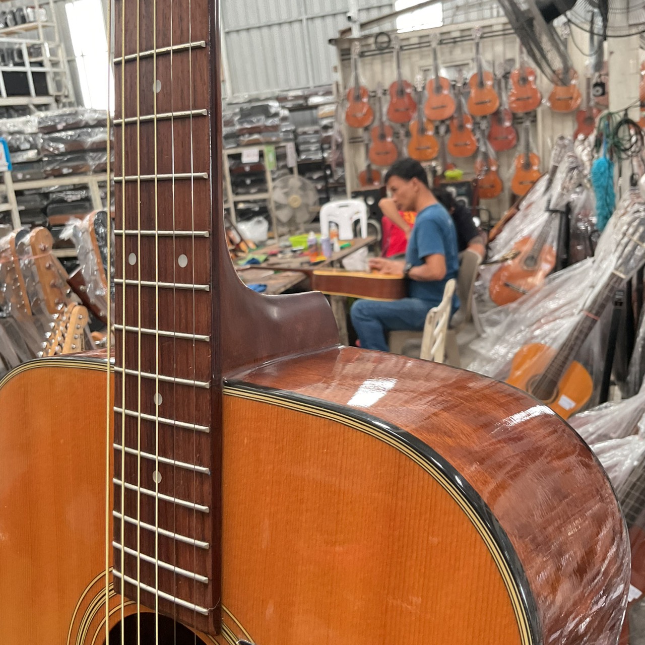 กีต้าร์โปร่ง Morris : MD-503