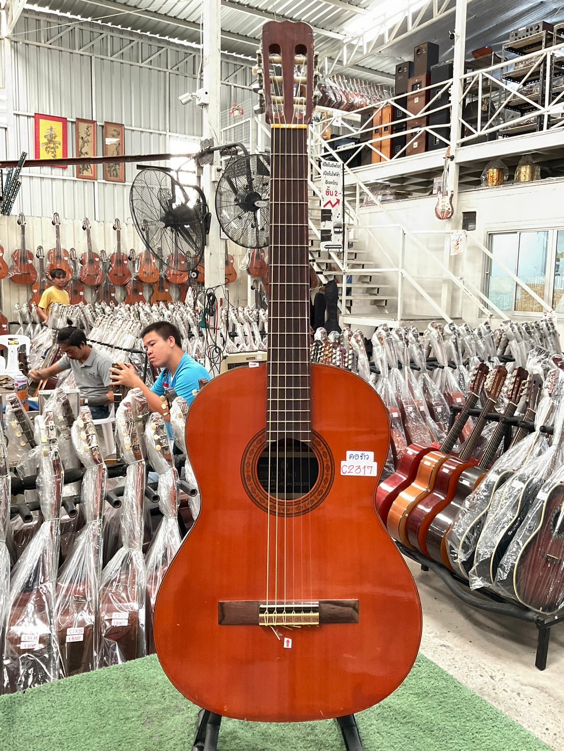 กีต้าร์คลาสสิค SUZUKI : C-13