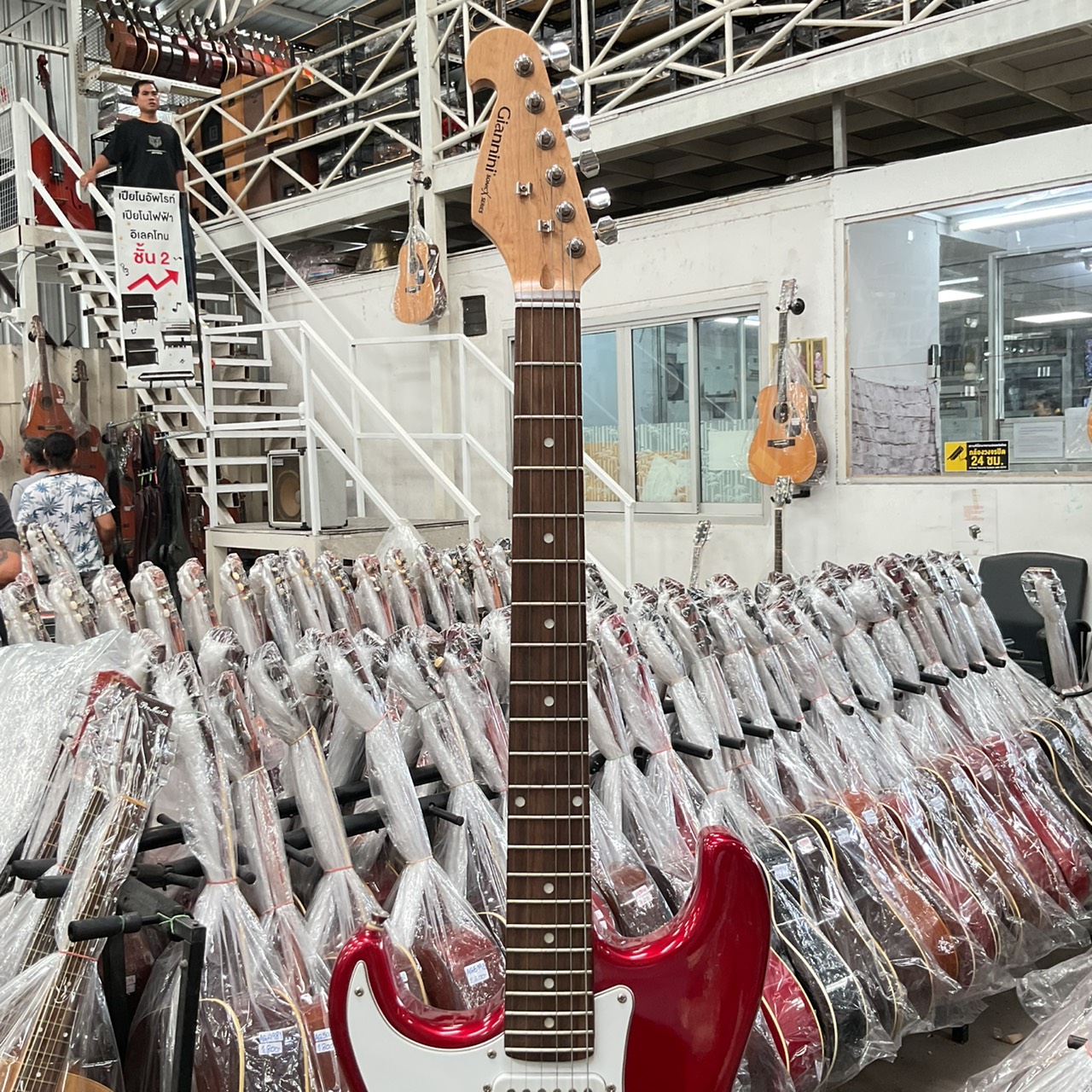 กีต้าร์ไฟฟ้า Giannini (สำหรับมือซ้าย)