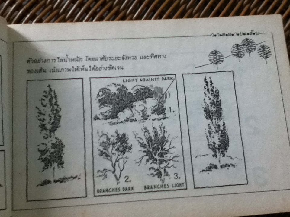 วาดลายเส้น