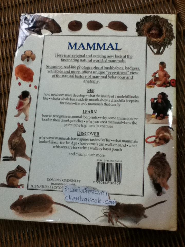 EYEWITNESS GUIDES 9 เล่ม