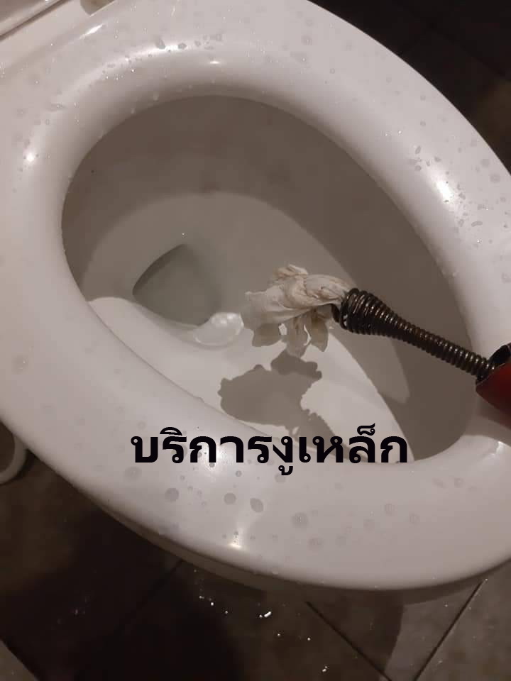 บริการงูเหล็ก002592556 