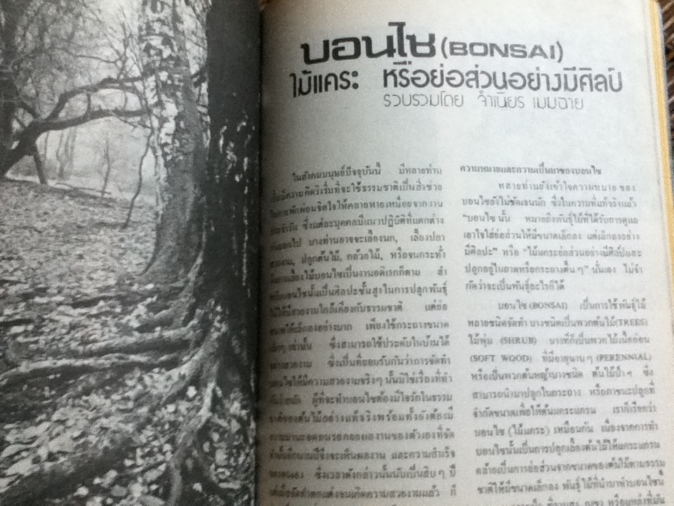 บอนไซ เล่มที่ 1/ ชมรมบอนไซ(ไม้แคระ)แห่งประเทศไทย