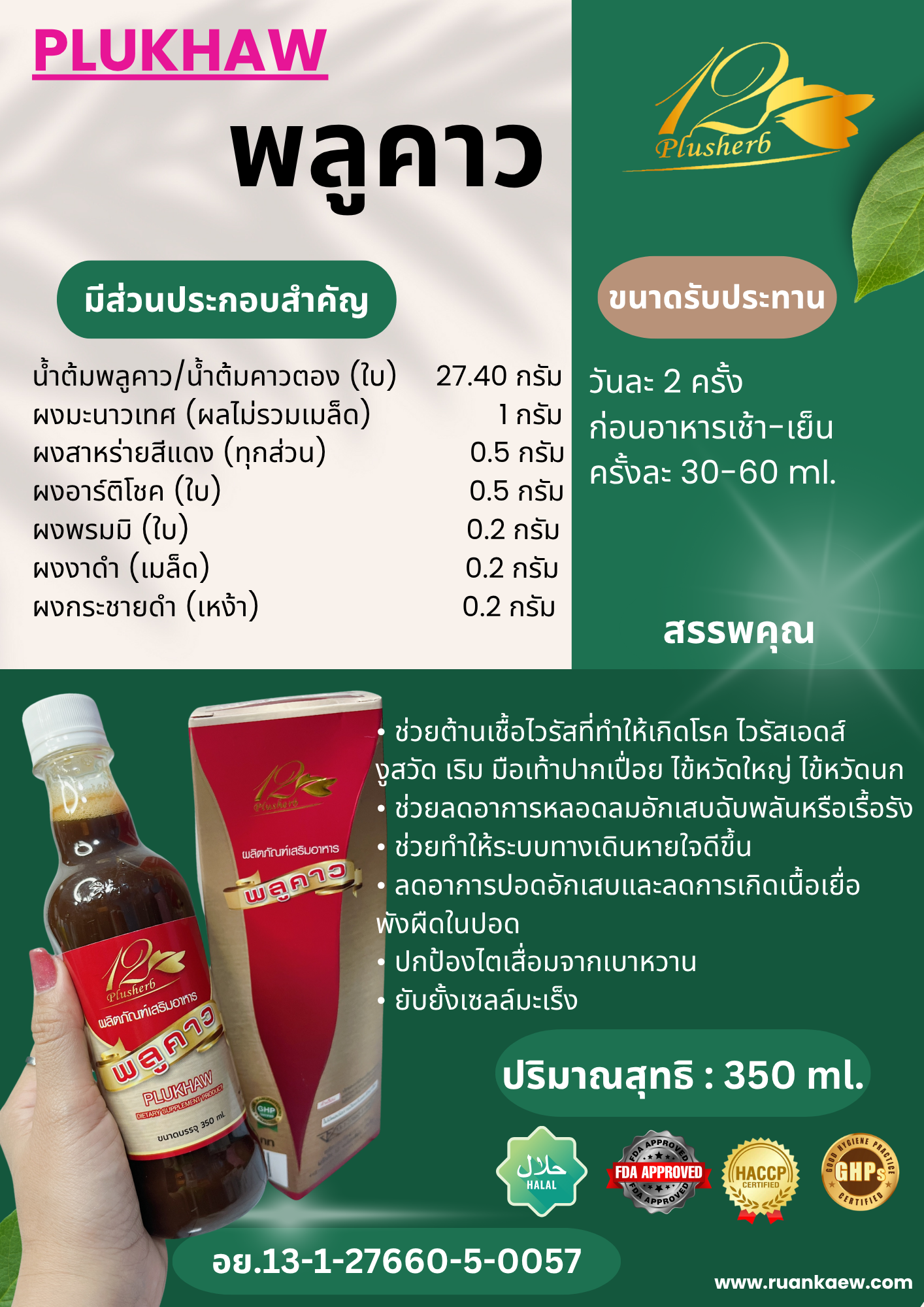 พลูคาว PLUKHAW