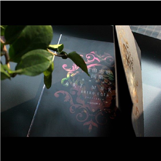 (Pre-order) หนังสือ ART WORKS 2005-2014 SHIHO ENTA