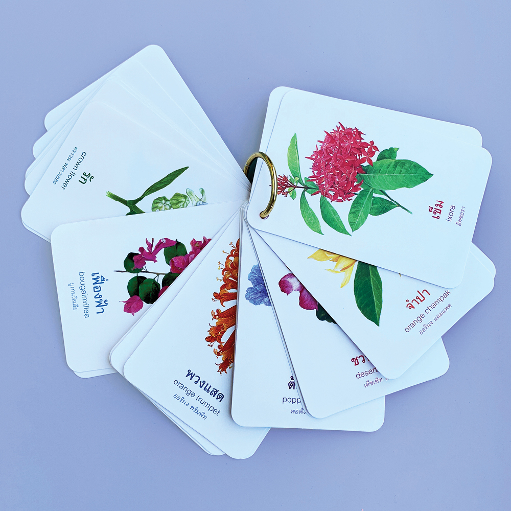 Book World Flash Card บัตรภาพ ดอกไม้แสนสวย แถมห่วงคล้อง